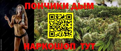 спиды Будённовск