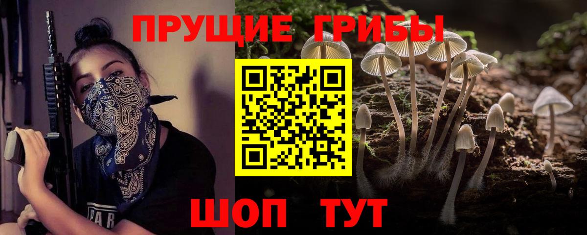 купить  цена  Вход с VPN  Мытищи  Псилоцибиновые грибы мухоморы  Галлюциногенные грибы прущие грибы 